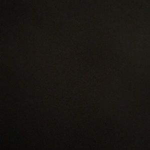 Meet your Posher, Gavin